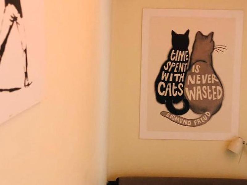 1C363E886DC7C6D8F825CDF92C604A43