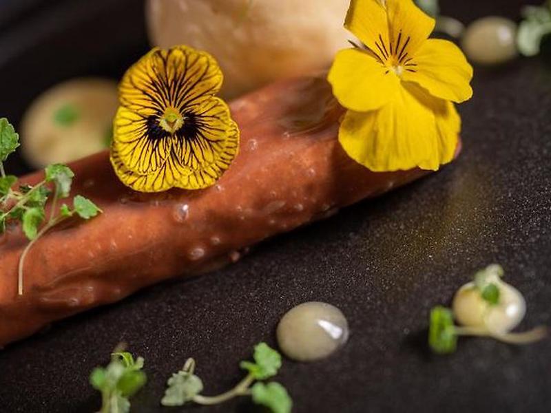 ADA131C5743F657D697B844B3F43BB7B