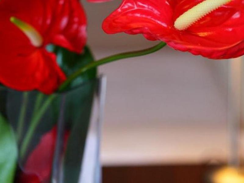 73E774573507C24A92A040FE06E91DCB