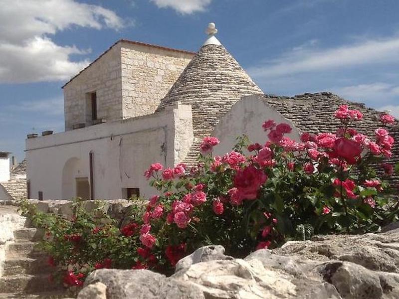 EE033BB5C17C1F4DD9209F0712FF240C