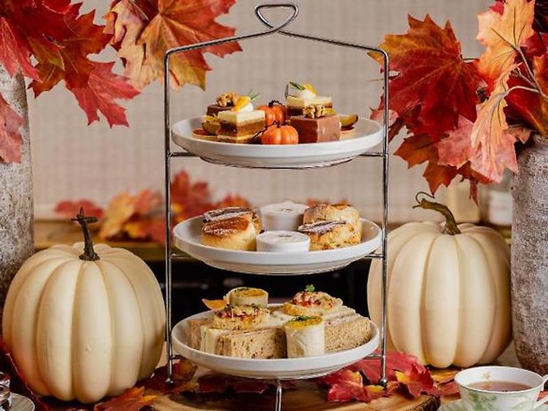 B541FAD2DCABCF978C590B11AF1C2008