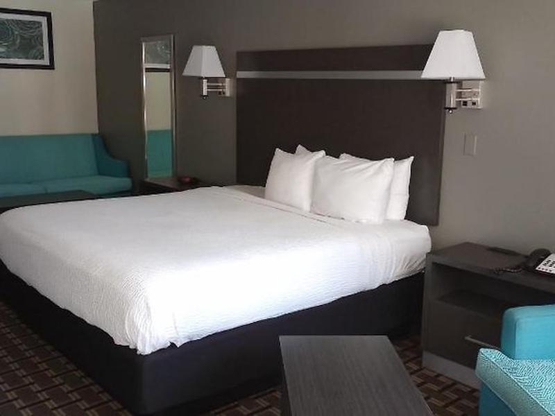 09867A7BF55CF2DCC6B4C4777516A4F8