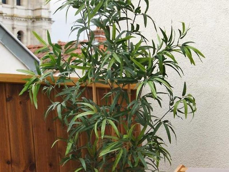 4DB355DA517B58524599DDA0640BD06E