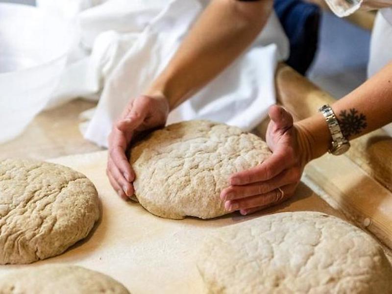 3B08193980B2D2572BEB0A4AEC04467B