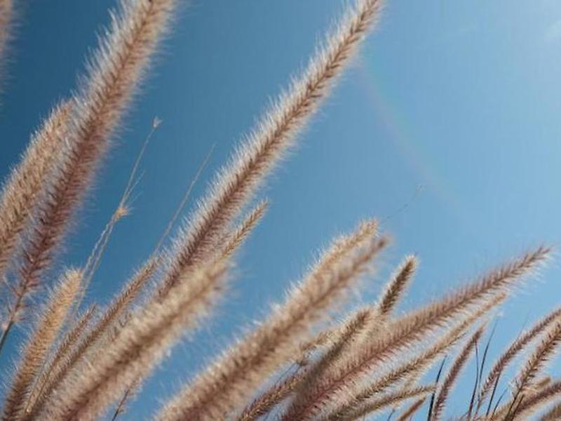 5C889A8BA0D050585E2472C8ED6336E2