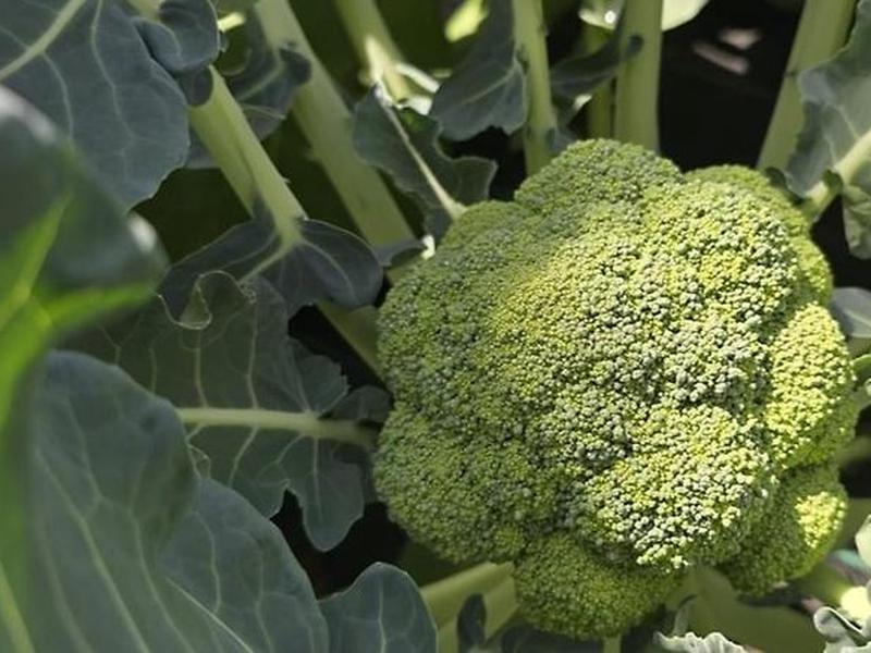 B1EBEE673CF1A4A858AFC79400018F50