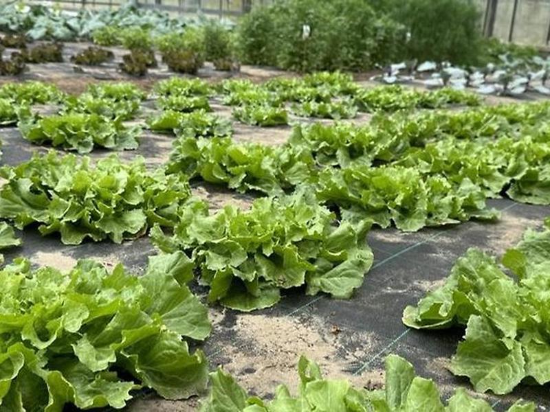 093579E962BF9E91CB5A8BE31CFA95D2