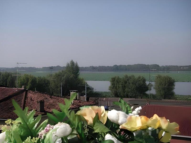 F26C5CE87A14949794725076B6390414