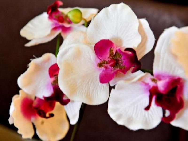 50F17D67A81E2A4348777148D407B1C5