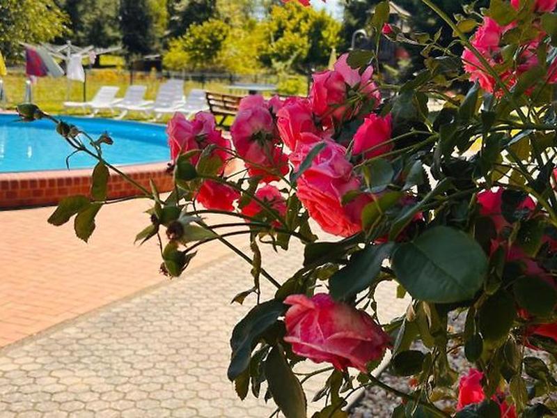 0082659759DB55344A9D6062DCDBE9CA