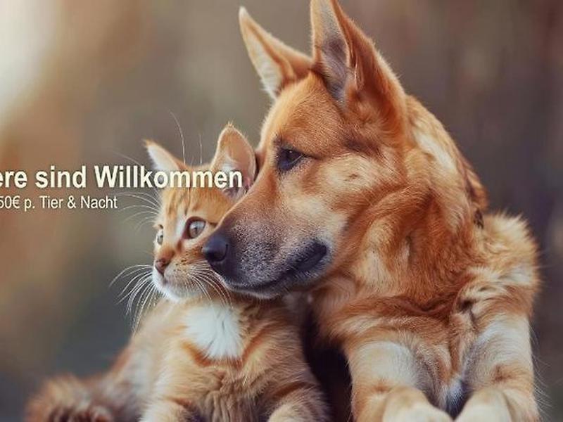 27D20B9F0B3E19E684639C6DE4B6BA89