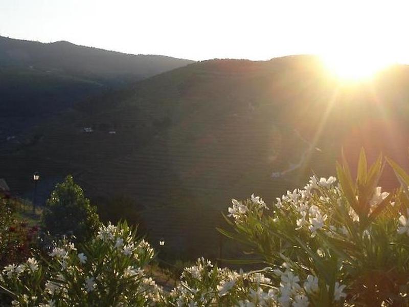 6294B7E7550AFE41E8FD66C1524C64B8