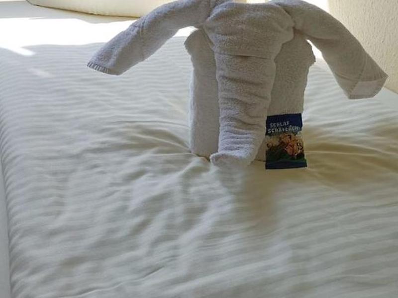 7A43EBA06111D2F9ED61549F609C462A