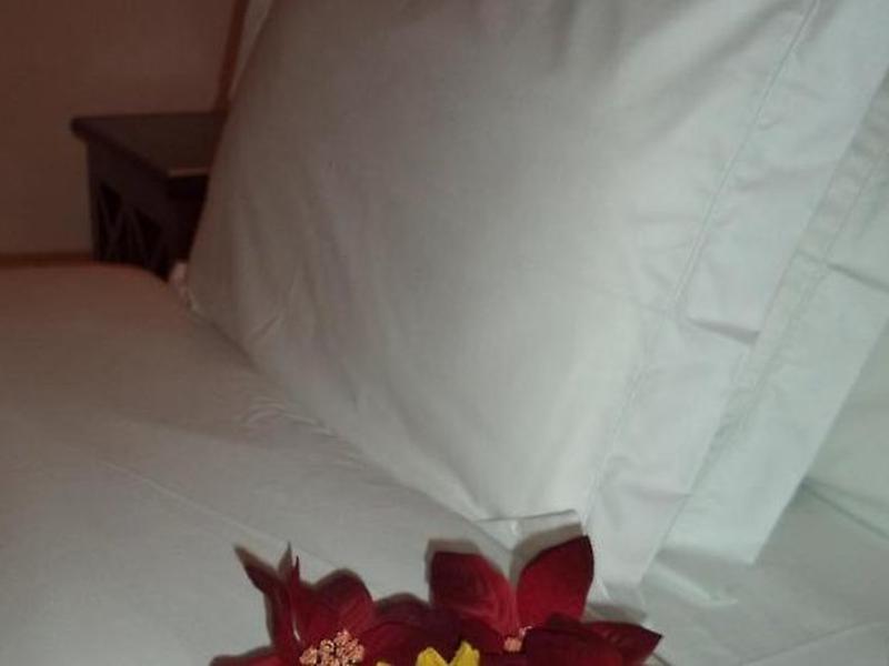 1A915FEE85D98A8404D8E29F81942937