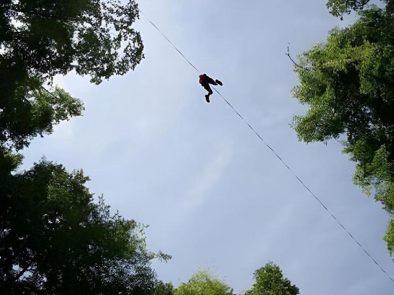 DD88B6EFC0E818FF81A38E443B2D5C7E