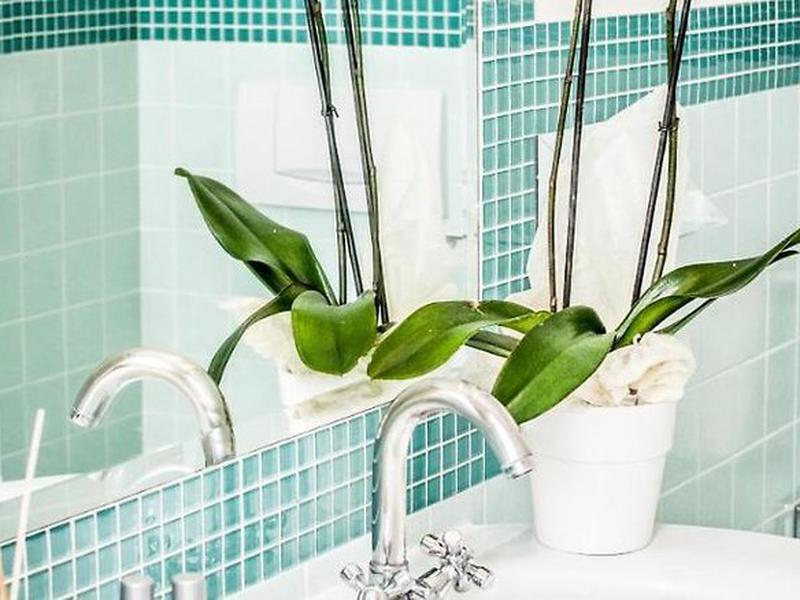 A2C120625DDB55B09310149286CFB619