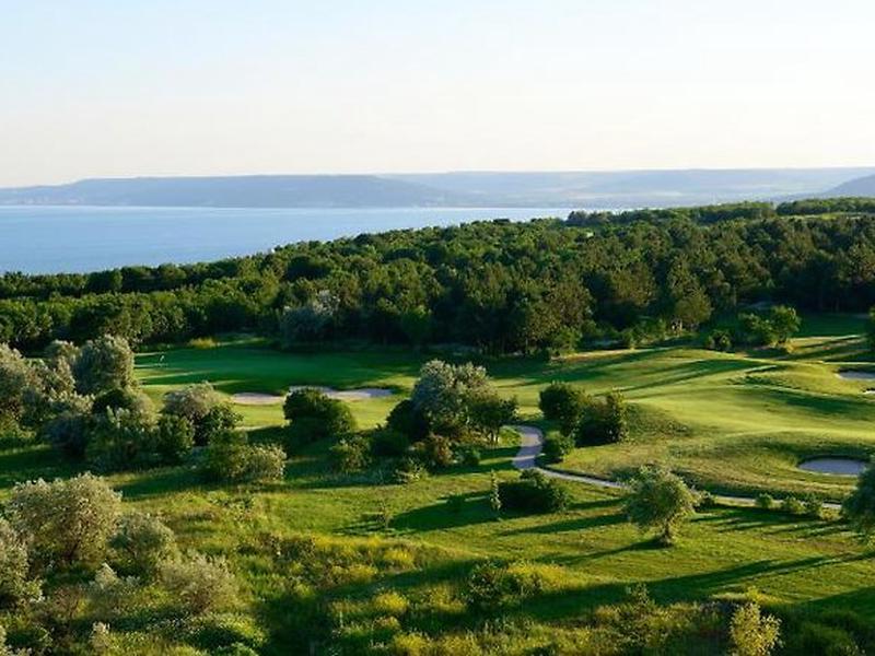 791FC81BFF8DC0395E013B67208C2852