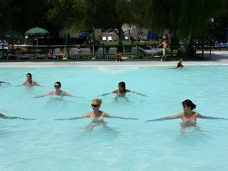 5A53A2B7DA0C4A365399D27E16DC571D