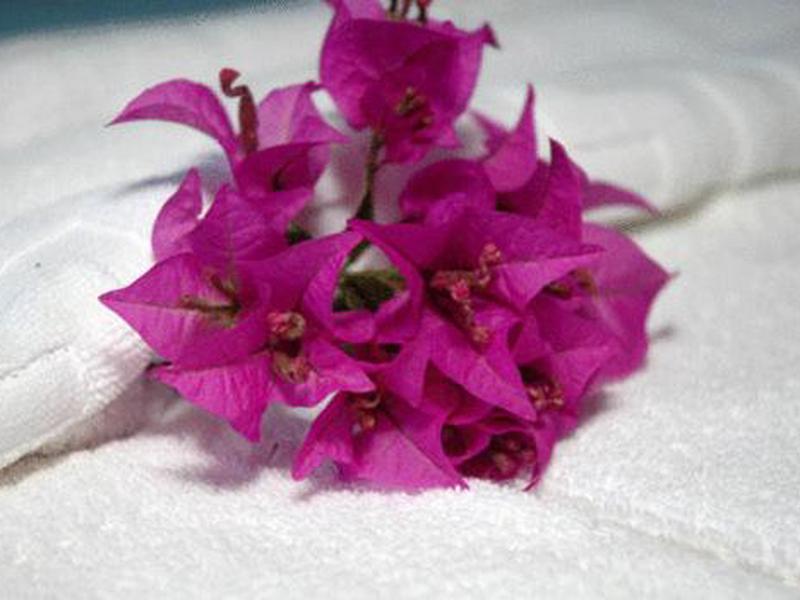 0EDC06203D97664ACA0F988B726DABAA