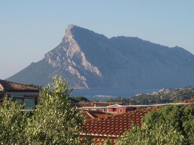 7F2B06BCB4D06128CC6233A84F26C2FD