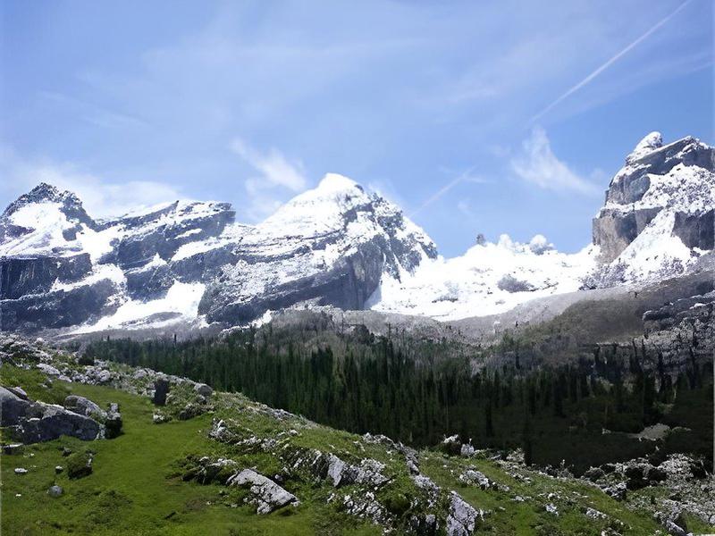 26830D2CEAAD2148EBAB783CCA3F6BD2