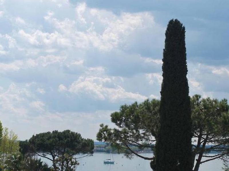 98057206B54512809E5C59A234EBCC4D