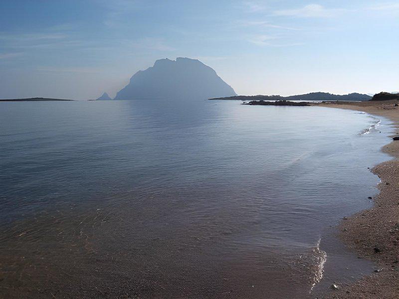 B09926AEC76DAFDD4E122FE1BECFE293