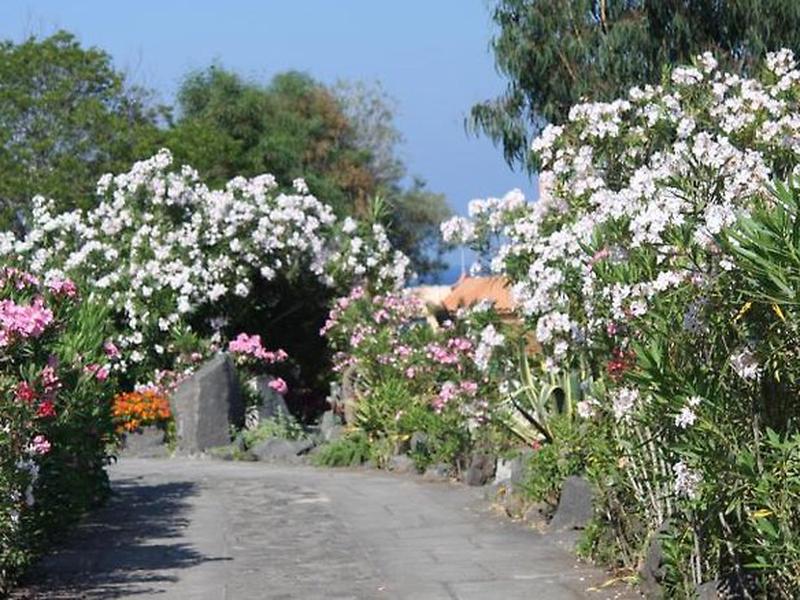 D61C34BB8A36564741B7348E6F5BD022