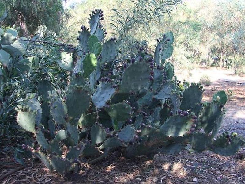 016A2522F374933404C75C1C08222319