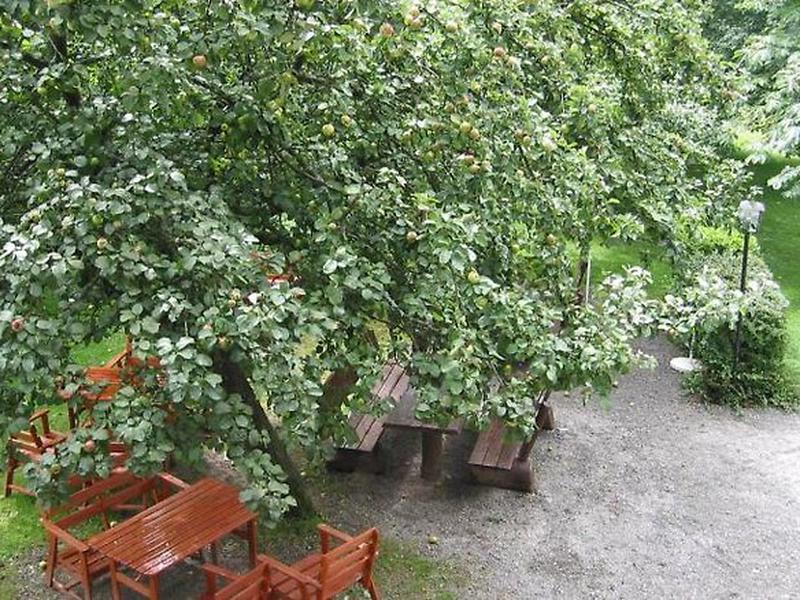 03DBFC546E877EC5F63727E0EC06BABD