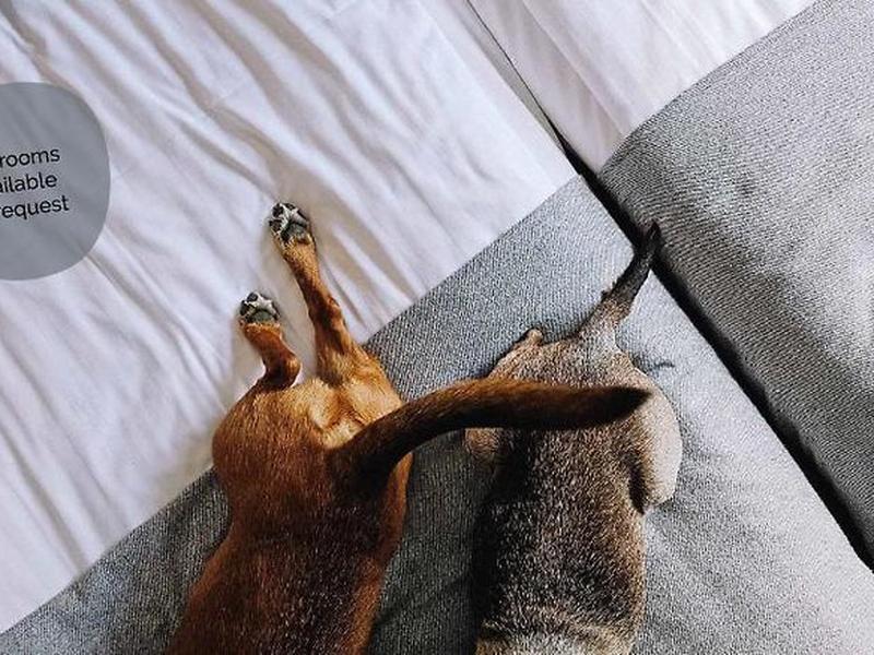 6966EF37DB033D5A69040E3533A065F8