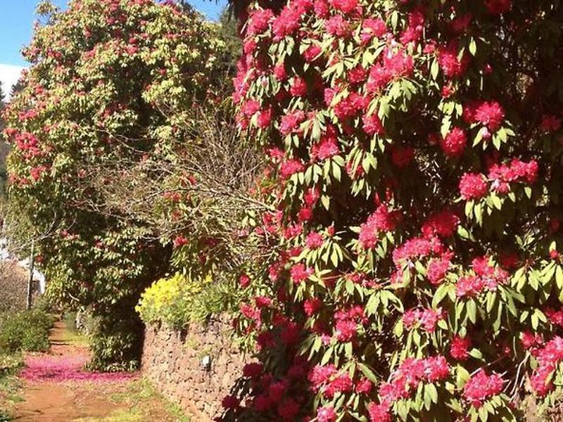 1A0134D94B3CEA2BD9A764058BD6B24F