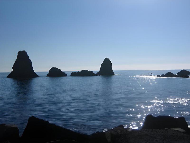 1BE966C907963AA7AC5524BF0C3DB6F5