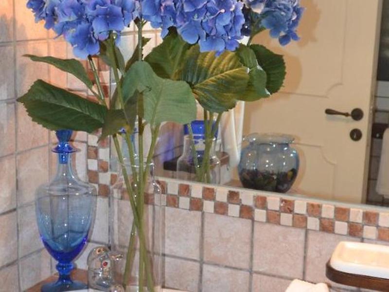 FBC580AE354A15C56D09560846D943F4