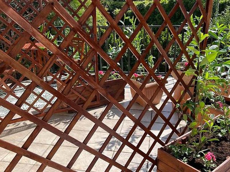 E8CC380B74536BC2CCD83791BA6B4454