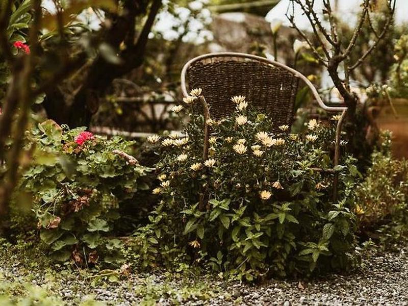 D3F11D3F6559DB6E48812290F8F7CE61