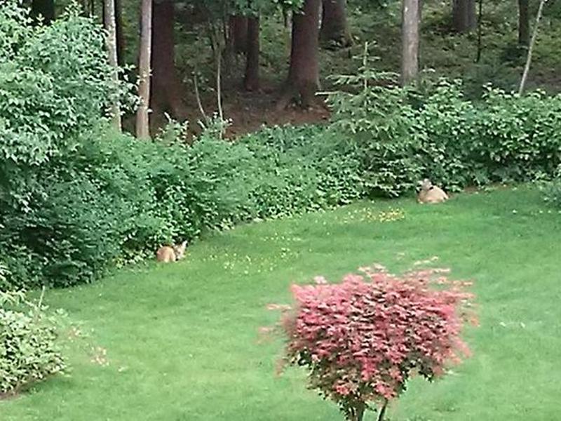 638C53EB7B62DA3B5F5E3D7E05A9FF75