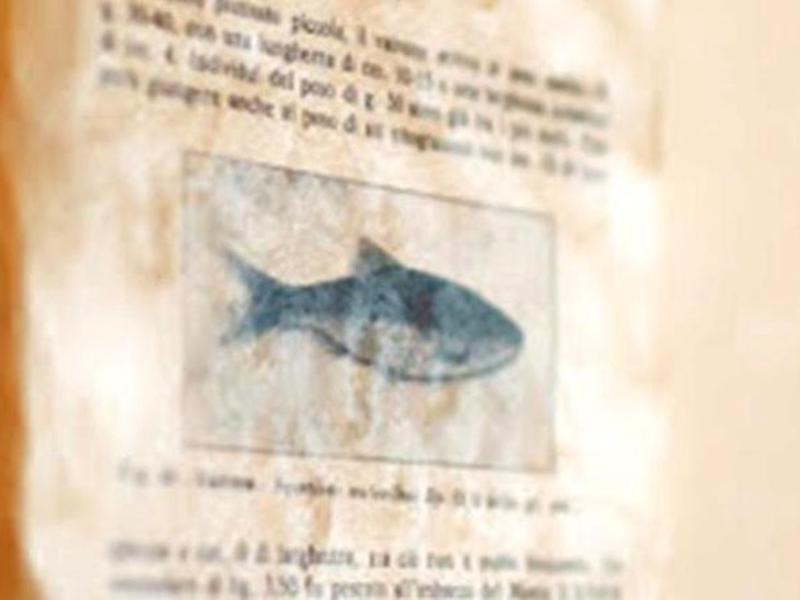 A3E3B796BB385716671125DBD92A3377