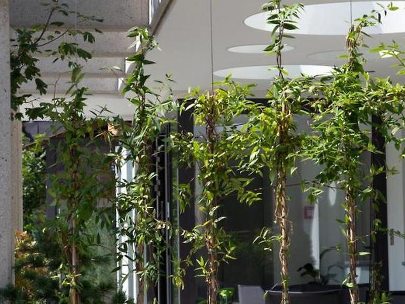 069B77366E0CCBF5711E17E440117E6D