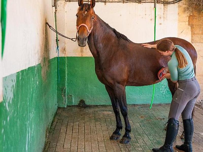 CFF407058C41AA0FAC85EBBE15A02111