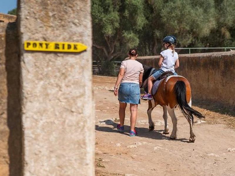 CEECC9B13B24FA985517B4B19FBB6853