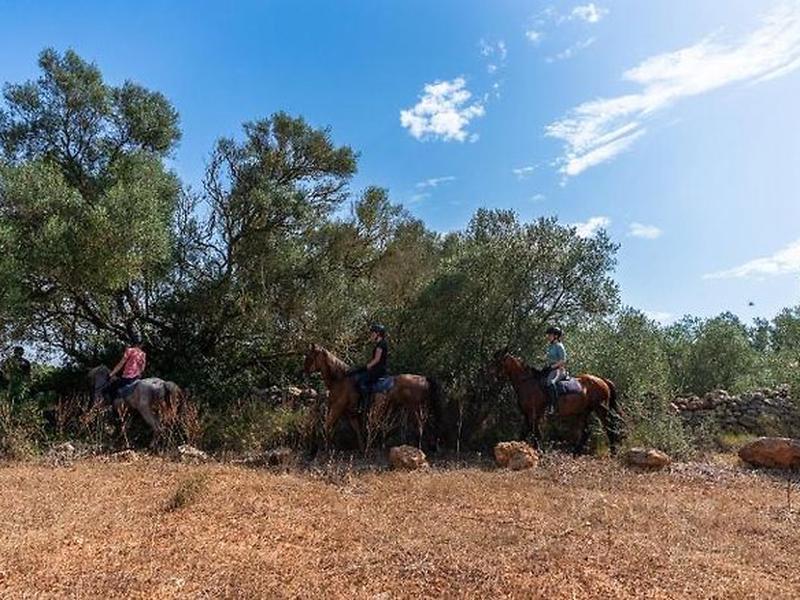 1D483459EE47504E7929B81D05FB2FC9