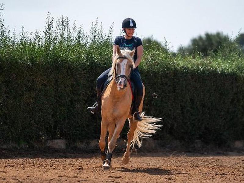 9B74D7FAEFFC3DF9C53C1CFDECFD681A