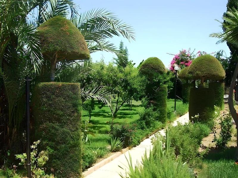 B8863F4722D12E9599CB535981EBC7B6