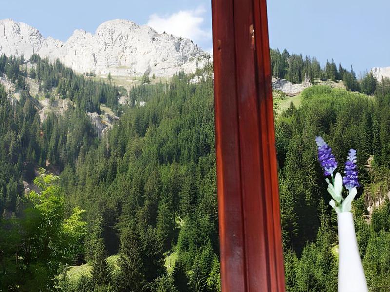 F7479EF13BBEC1F41EFC7EBD623F1BB9