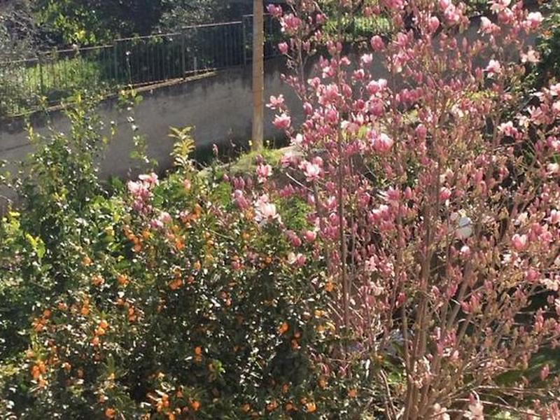 C913DECAA9B16FFF9088EEE4C3258A1B