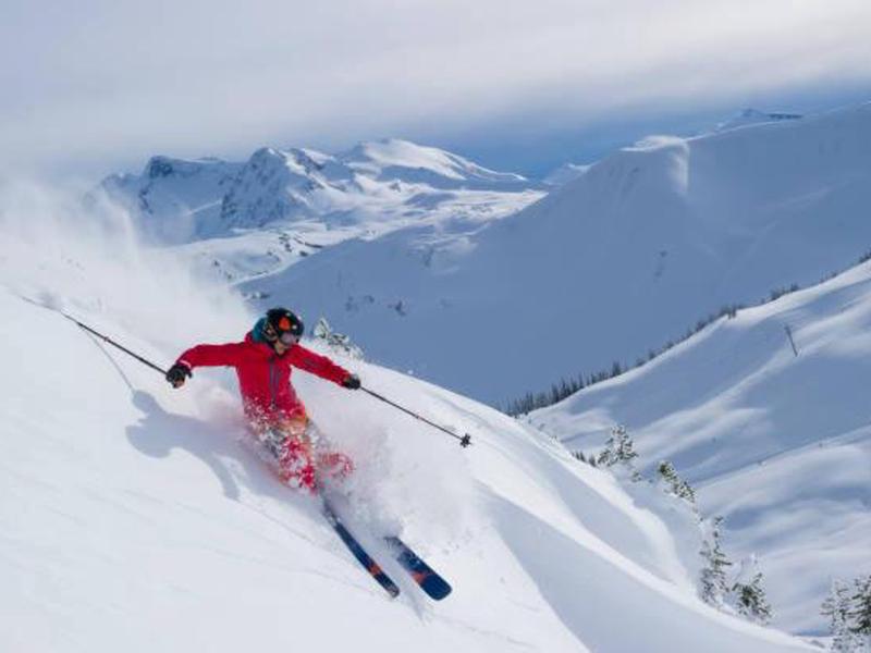 919F416E5F3E87783CF4CDC29D1F95C9