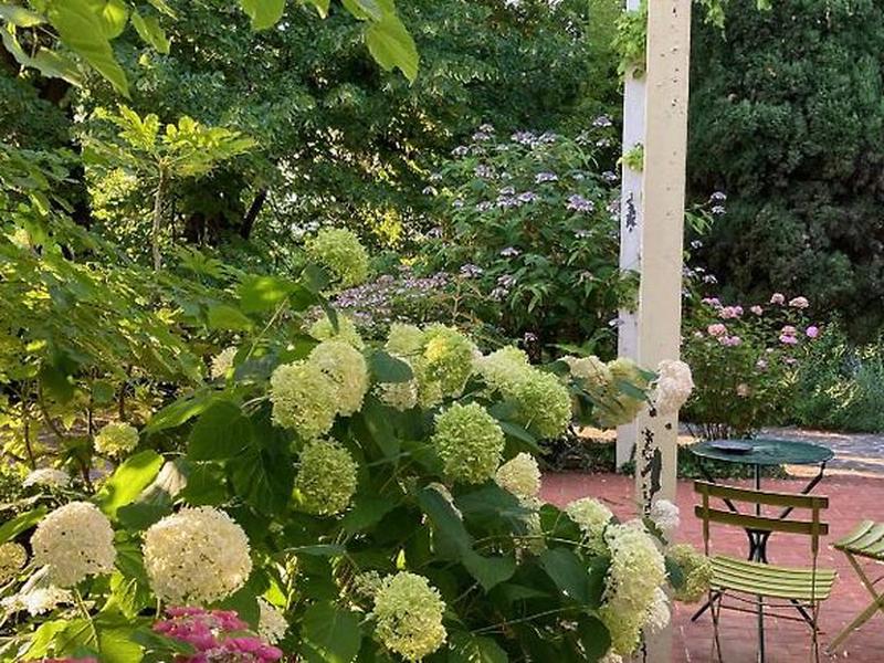 0170E99A91469DF99638821C70E0CBD8