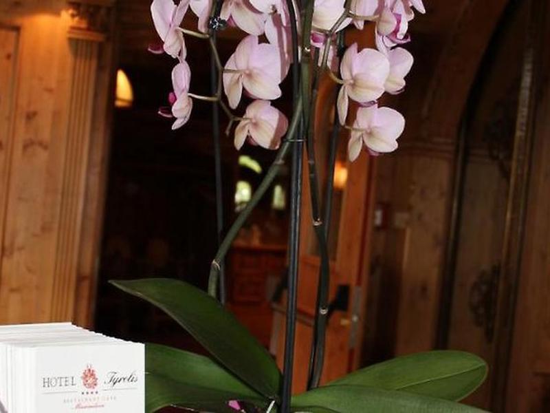 C48178E85D968464D55472F817F70847