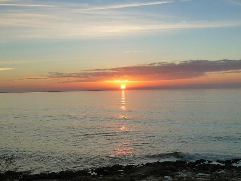 9FA52D56665F0886A7AC124BEECA36B7